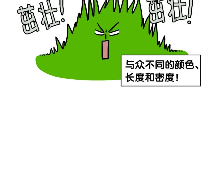 《我的狗子叫棉花》第34话 捡屎好难 第12页