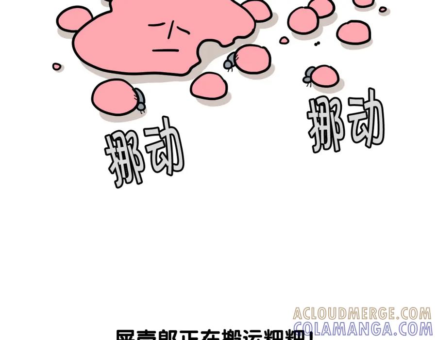 《我的狗子叫棉花》第34话 捡屎好难 第49页