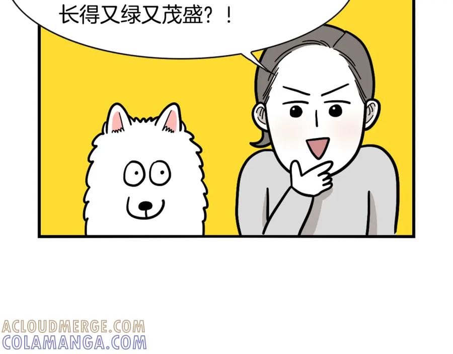 《我的狗子叫棉花》第34话 捡屎好难 第17页