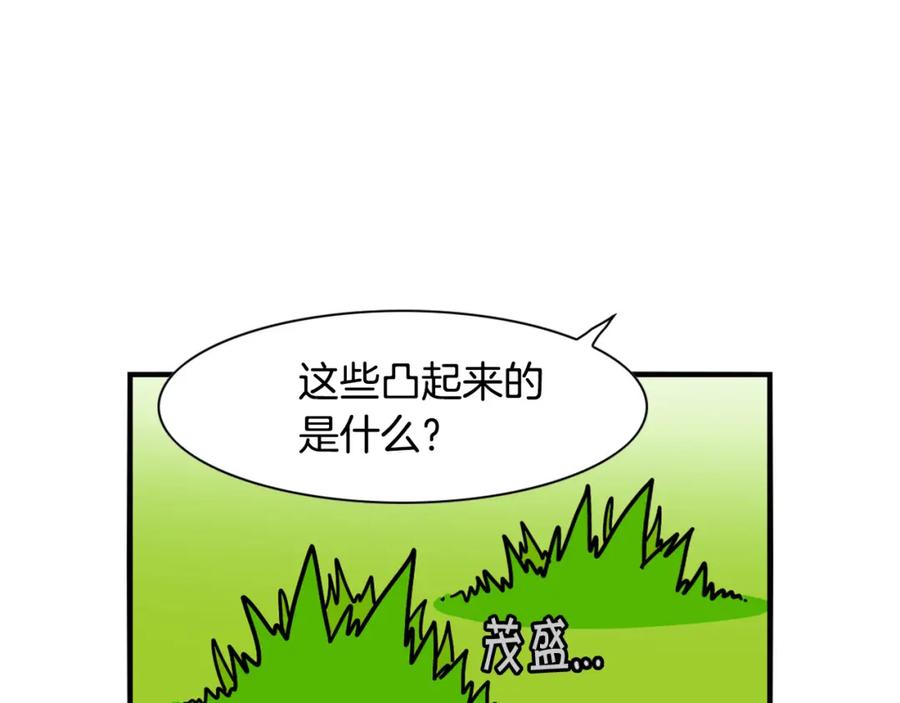 《我的狗子叫棉花》第34话 捡屎好难 第7页