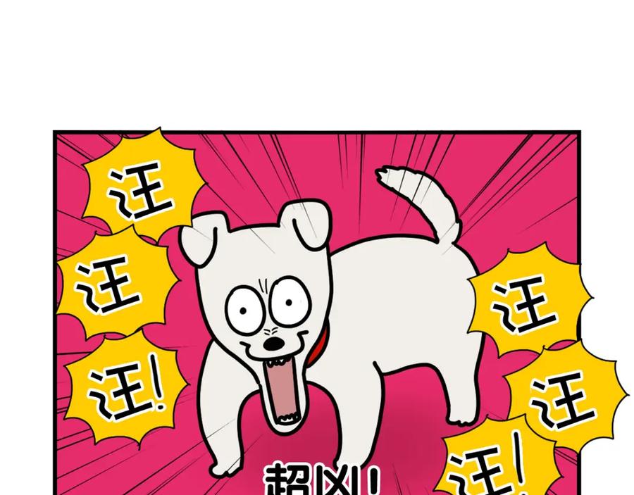 《我的狗子叫棉花》第34话 捡屎好难 第90页