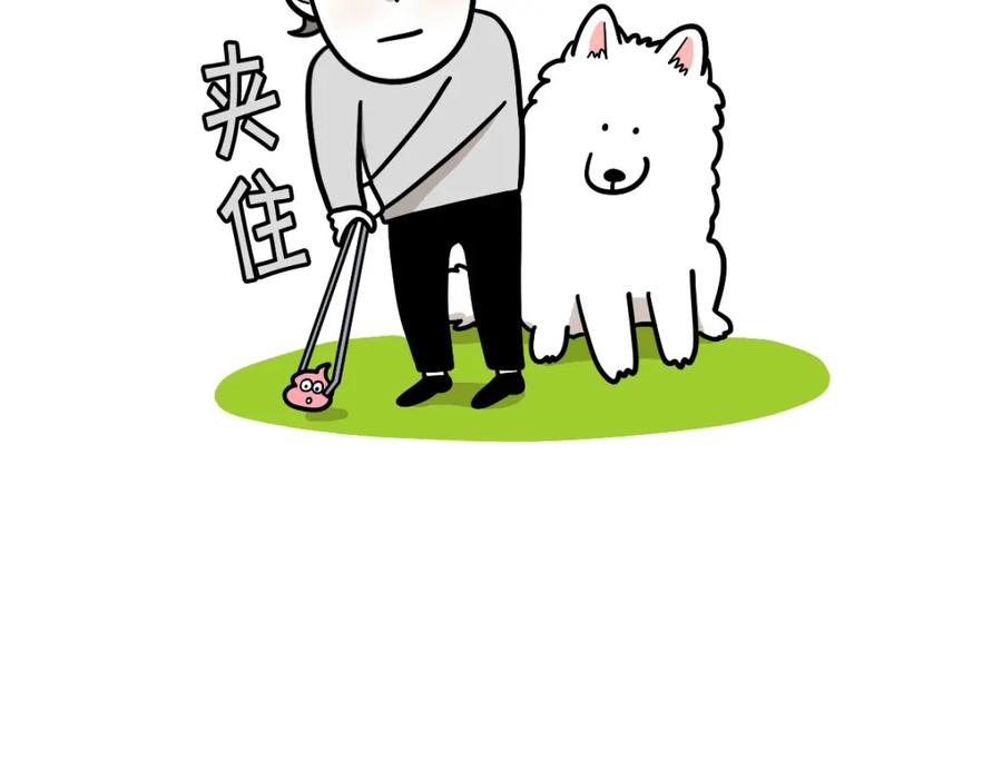 《我的狗子叫棉花》第34话 捡屎好难 第34页