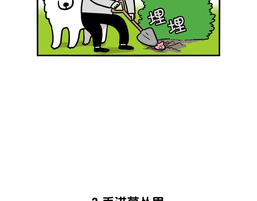 《我的狗子叫棉花》第34话 捡屎好难 第30页