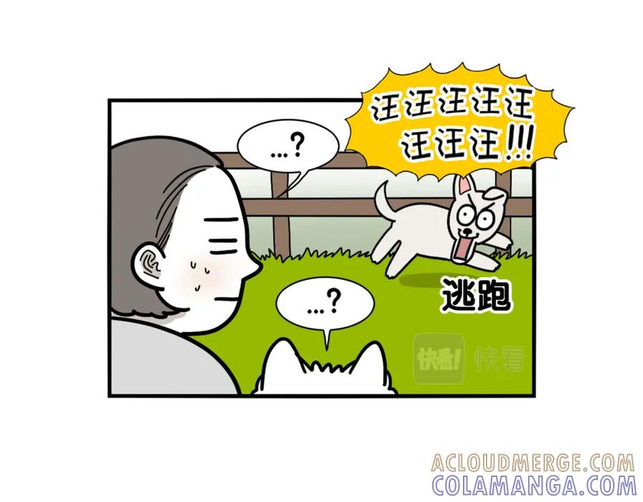 《我的狗子叫棉花》第34话 捡屎好难 第93页