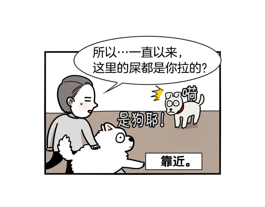 《我的狗子叫棉花》第34话 捡屎好难 第88页