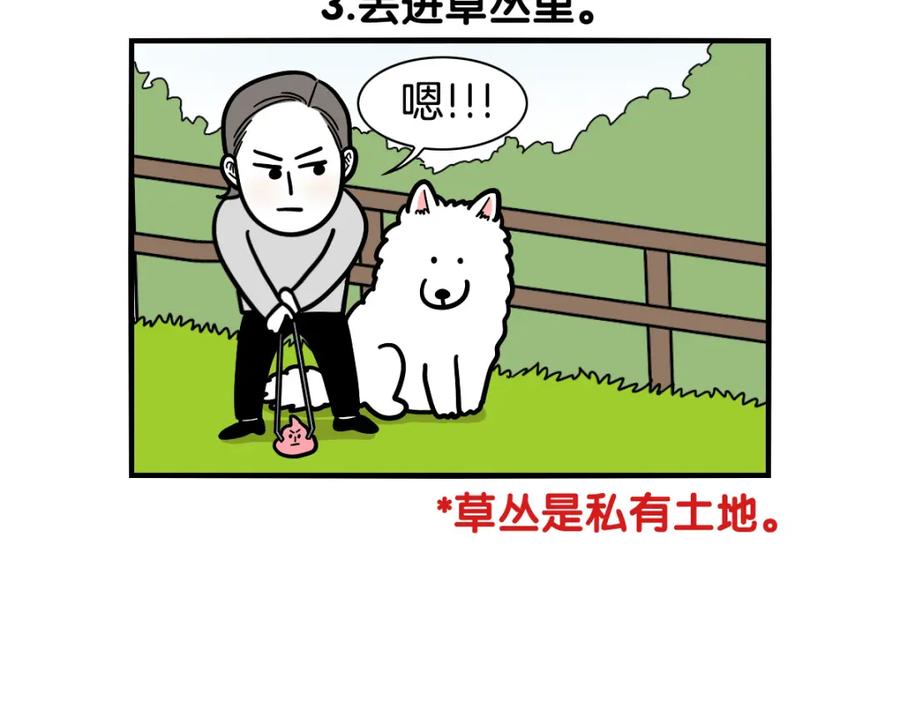 《我的狗子叫棉花》第34话 捡屎好难 第31页