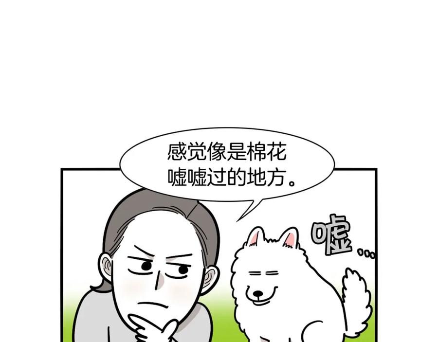 《我的狗子叫棉花》第34话 捡屎好难 第10页