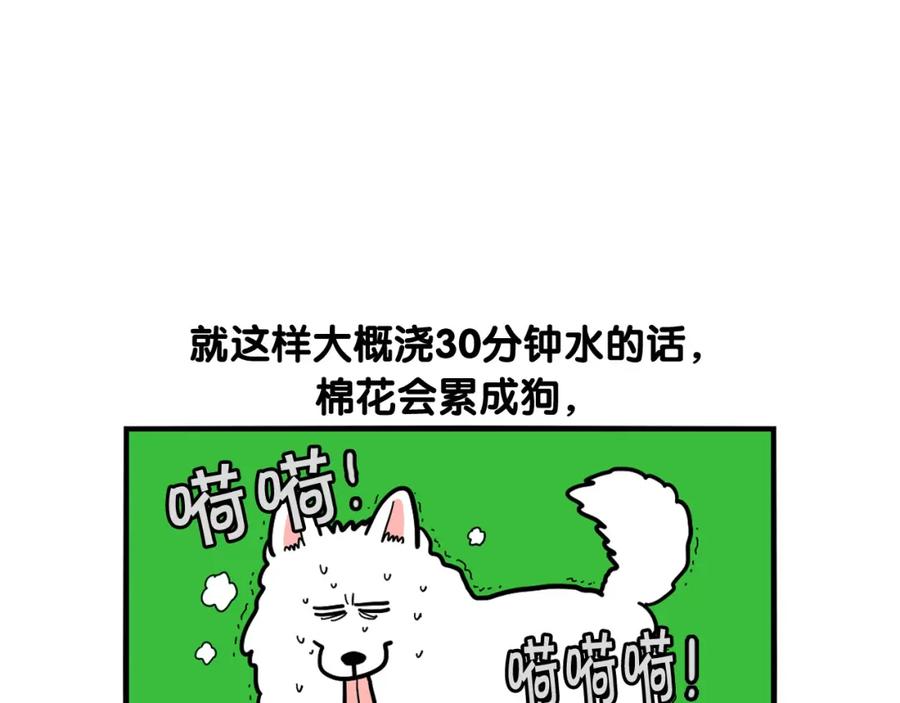 《我的狗子叫棉花》第35话 捣蛋大王 第78页