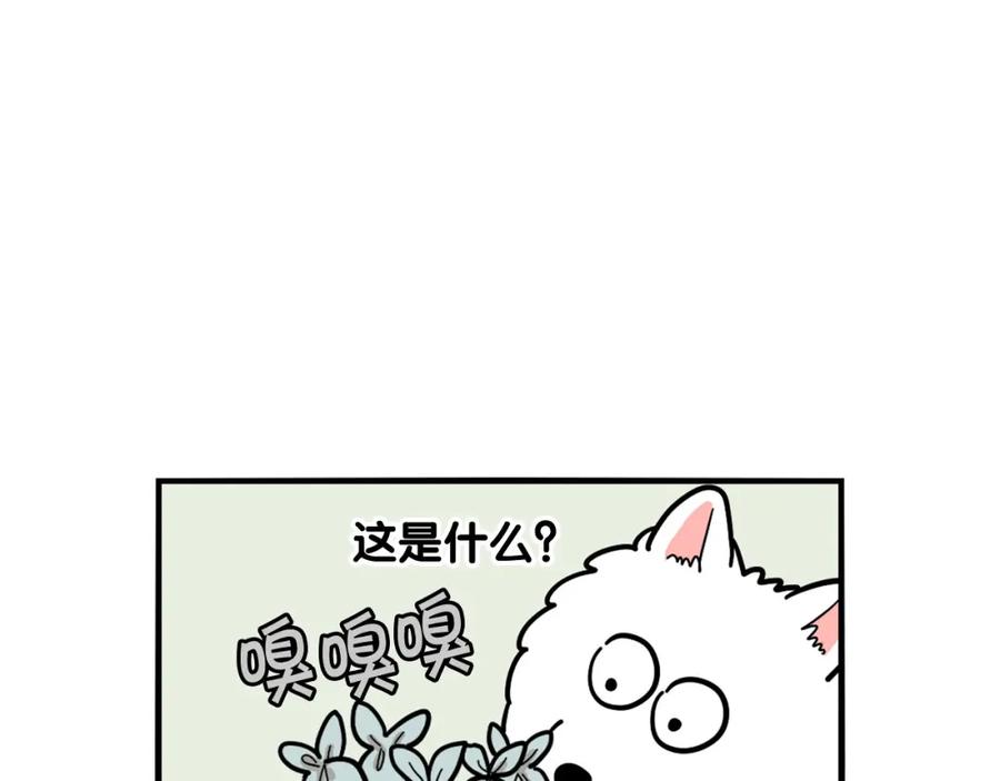 《我的狗子叫棉花》第35话 捣蛋大王 第15页