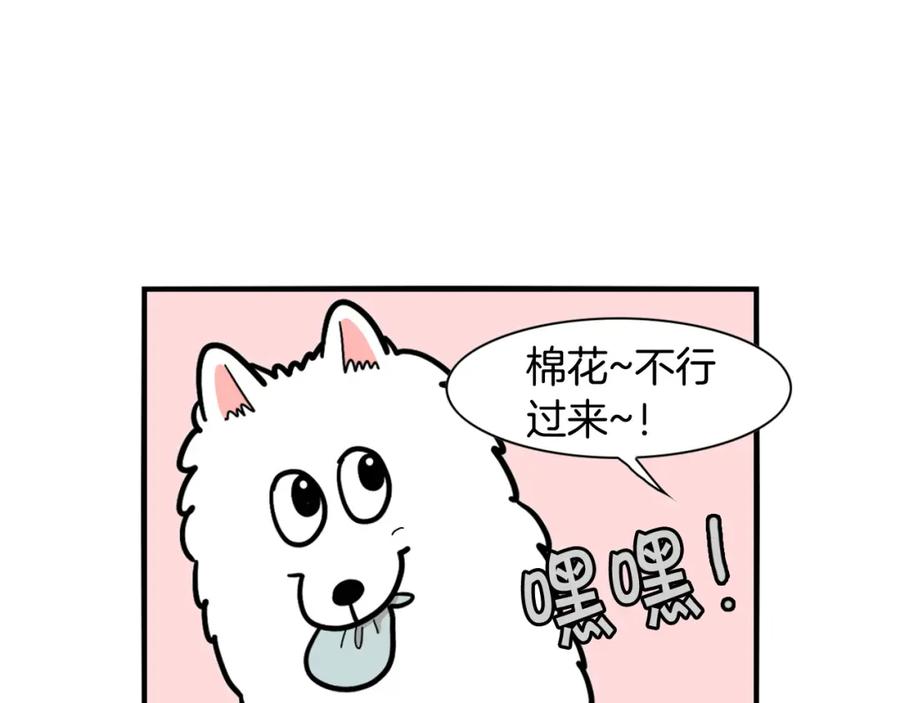 《我的狗子叫棉花》第35话 捣蛋大王 第27页