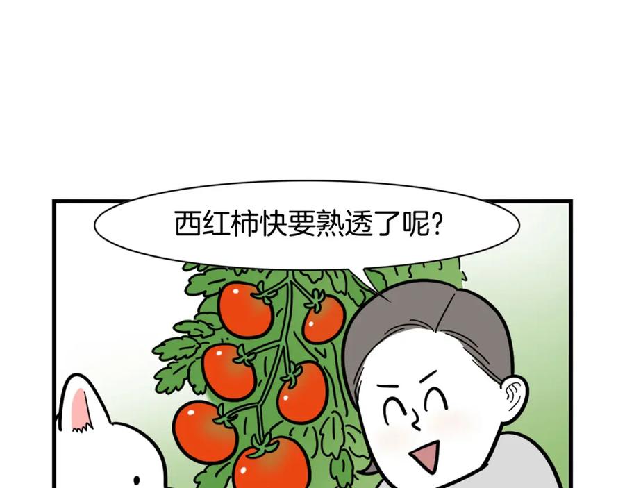 《我的狗子叫棉花》第35话 捣蛋大王 第84页