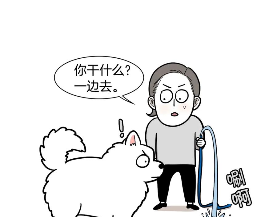 《我的狗子叫棉花》第35话 捣蛋大王 第52页