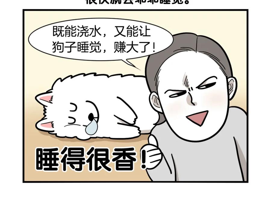 《我的狗子叫棉花》第35话 捣蛋大王 第80页