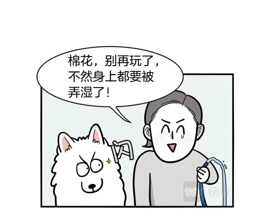 《我的狗子叫棉花》第35话 捣蛋大王 第64页