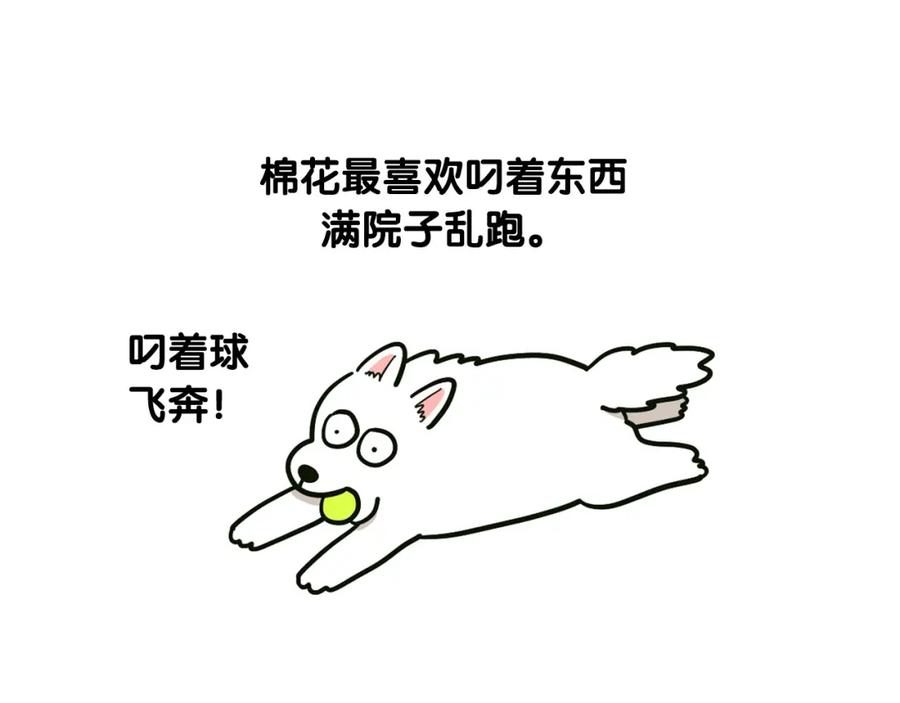 《我的狗子叫棉花》第35话 捣蛋大王 第40页