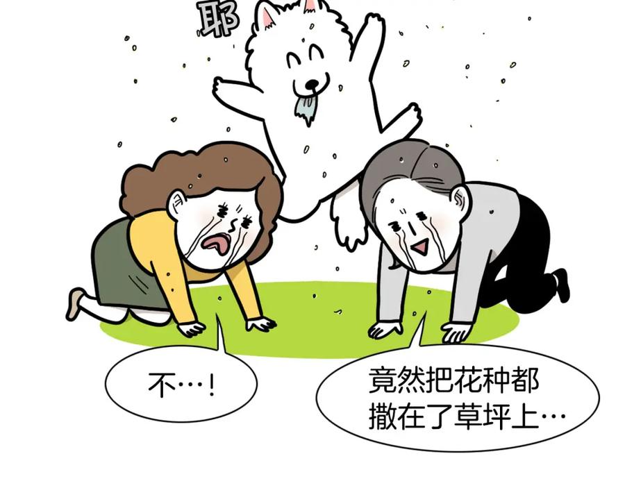 《我的狗子叫棉花》第35话 捣蛋大王 第36页