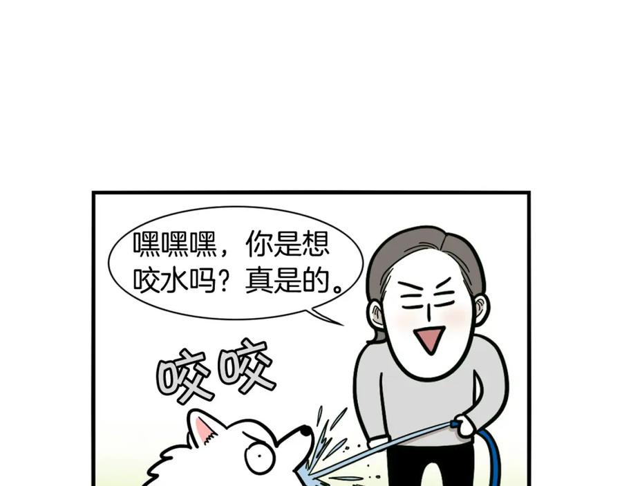 《我的狗子叫棉花》第35话 捣蛋大王 第55页