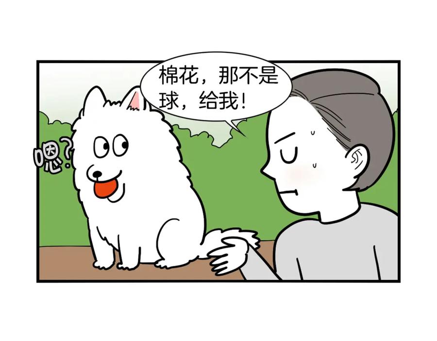 《我的狗子叫棉花》第35话 捣蛋大王 第90页