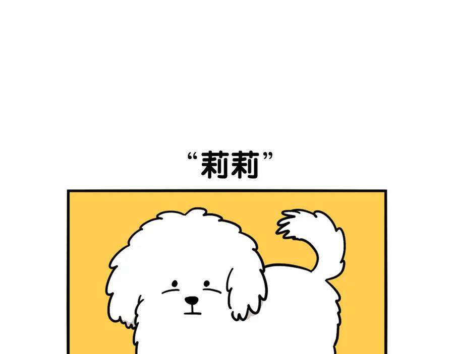 《我的狗子叫棉花》第36话 其他狗狗 第11页