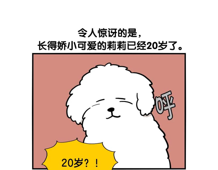 《我的狗子叫棉花》第36话 其他狗狗 第14页