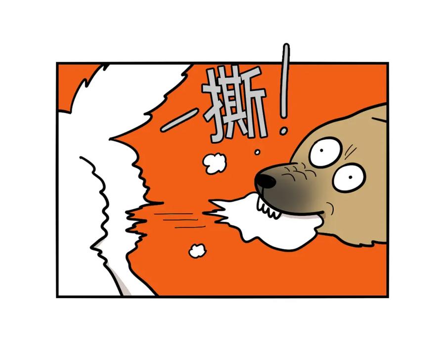 《我的狗子叫棉花》第36话 其他狗狗 第63页