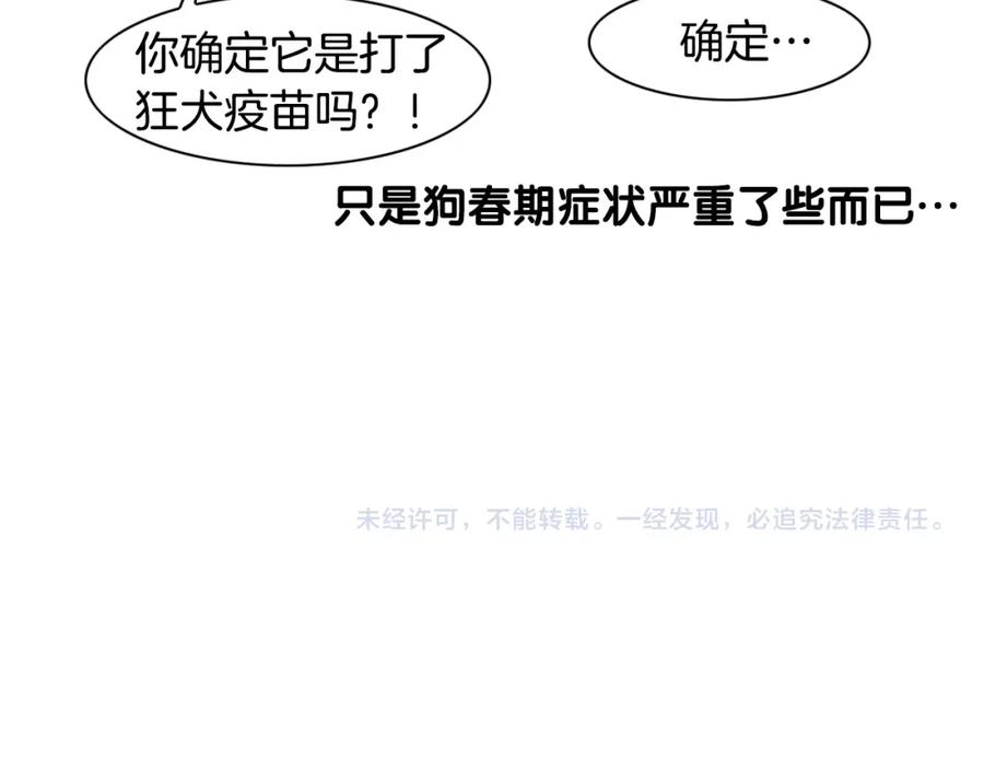 《我的狗子叫棉花》第36话 其他狗狗 第95页