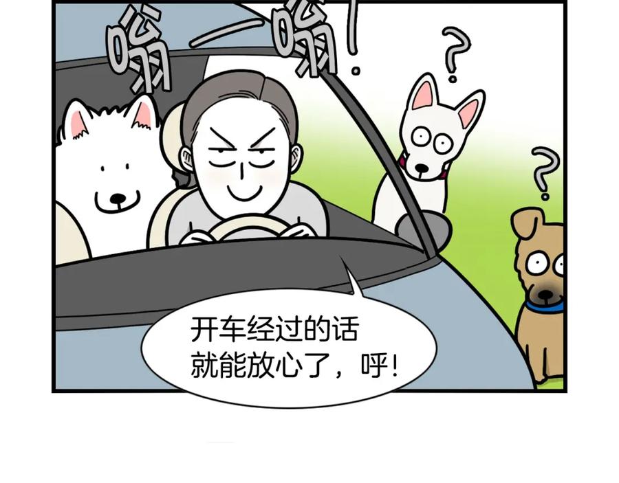 《我的狗子叫棉花》第36话 其他狗狗 第77页