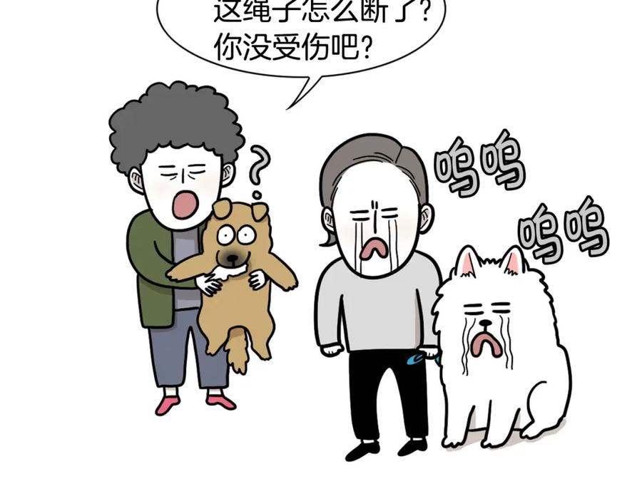 《我的狗子叫棉花》第36话 其他狗狗 第66页