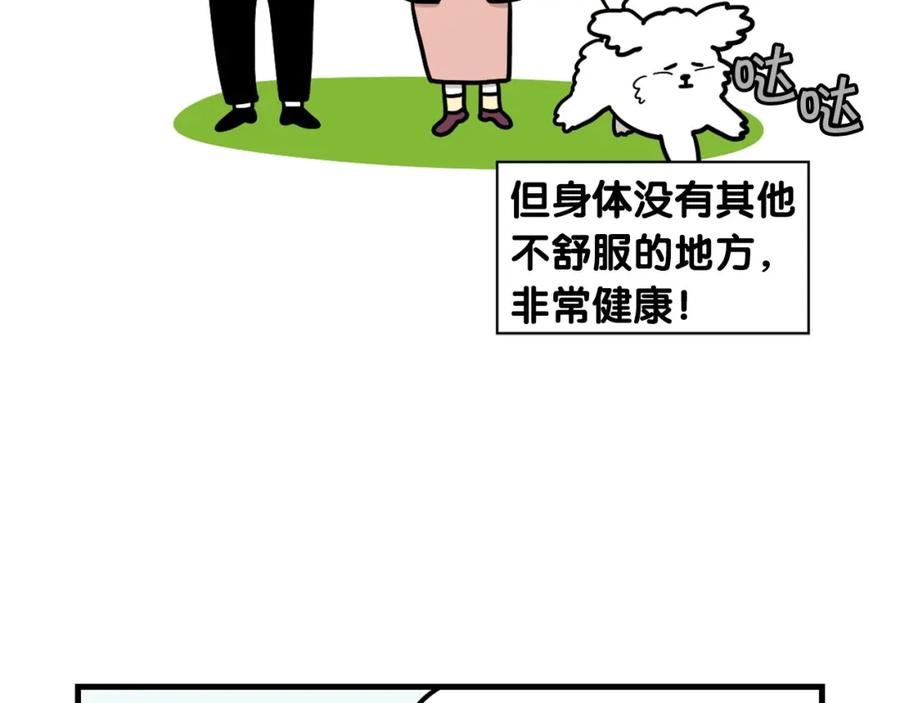 《我的狗子叫棉花》第36话 其他狗狗 第17页