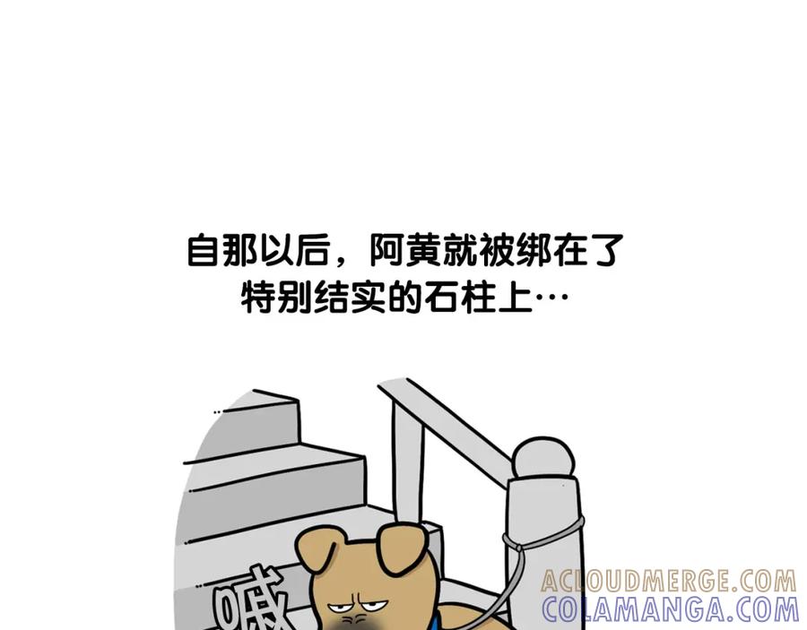 《我的狗子叫棉花》第36话 其他狗狗 第70页