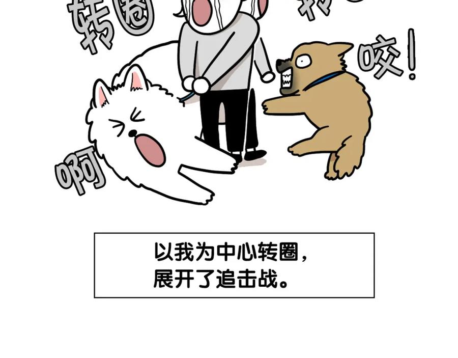 《我的狗子叫棉花》第36话 其他狗狗 第60页