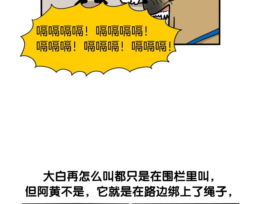 《我的狗子叫棉花》第36话 其他狗狗 第45页