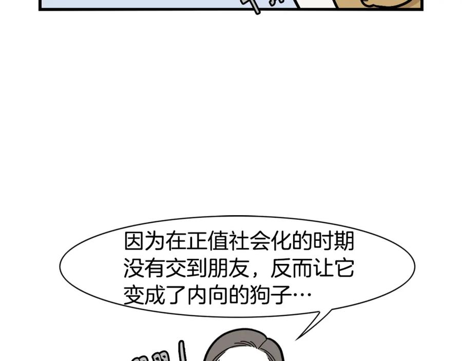 《我的狗子叫棉花》第36话 其他狗狗 第81页