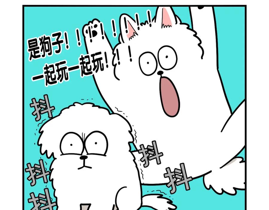 《我的狗子叫棉花》第36话 其他狗狗 第21页