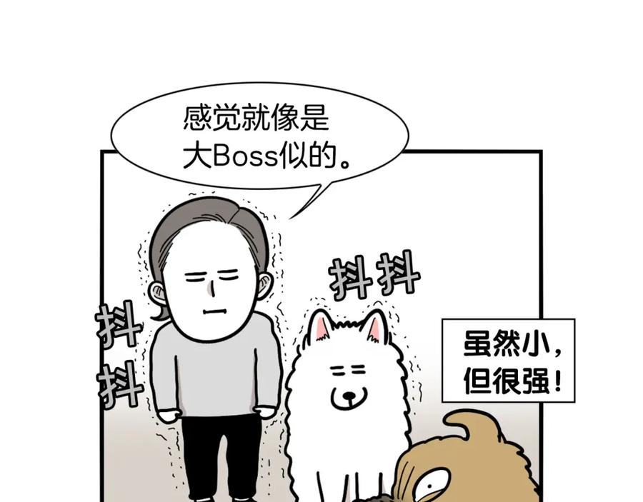 《我的狗子叫棉花》第36话 其他狗狗 第44页