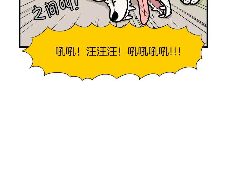 《我的狗子叫棉花》第36话 其他狗狗 第35页