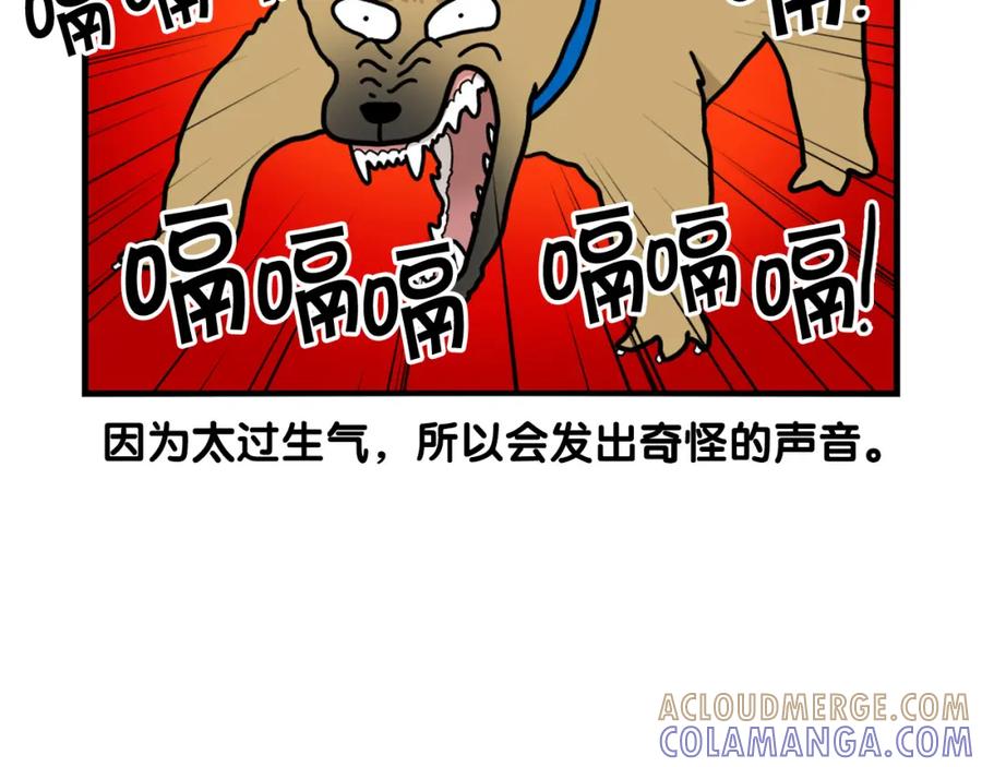 《我的狗子叫棉花》第36话 其他狗狗 第43页