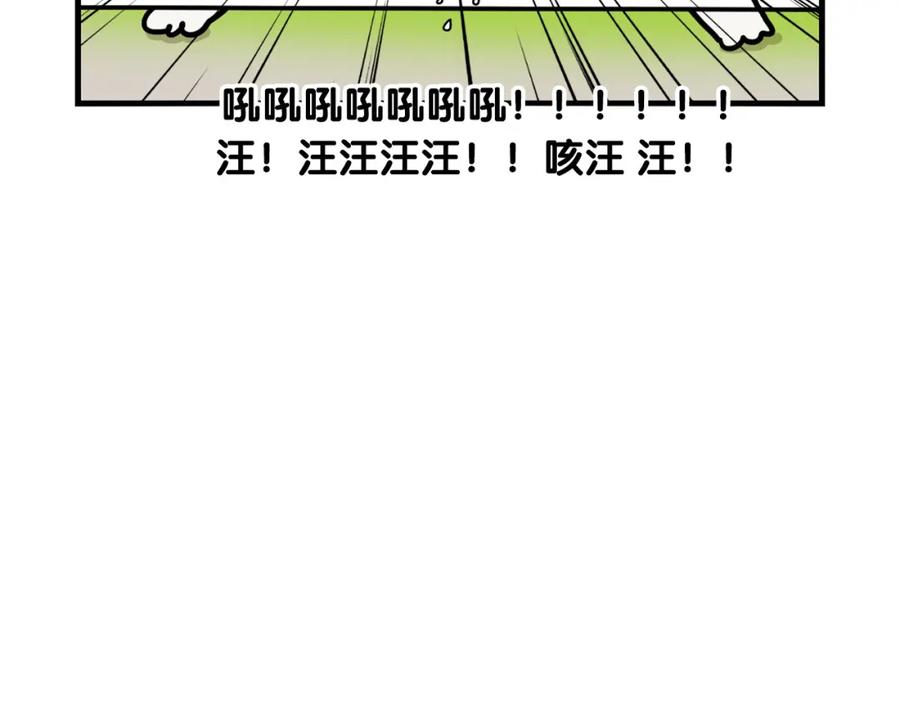 《我的狗子叫棉花》第36话 其他狗狗 第32页