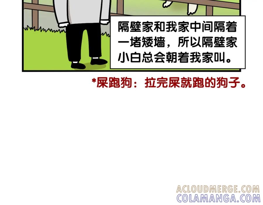 《我的狗子叫棉花》第36话 其他狗狗 第7页