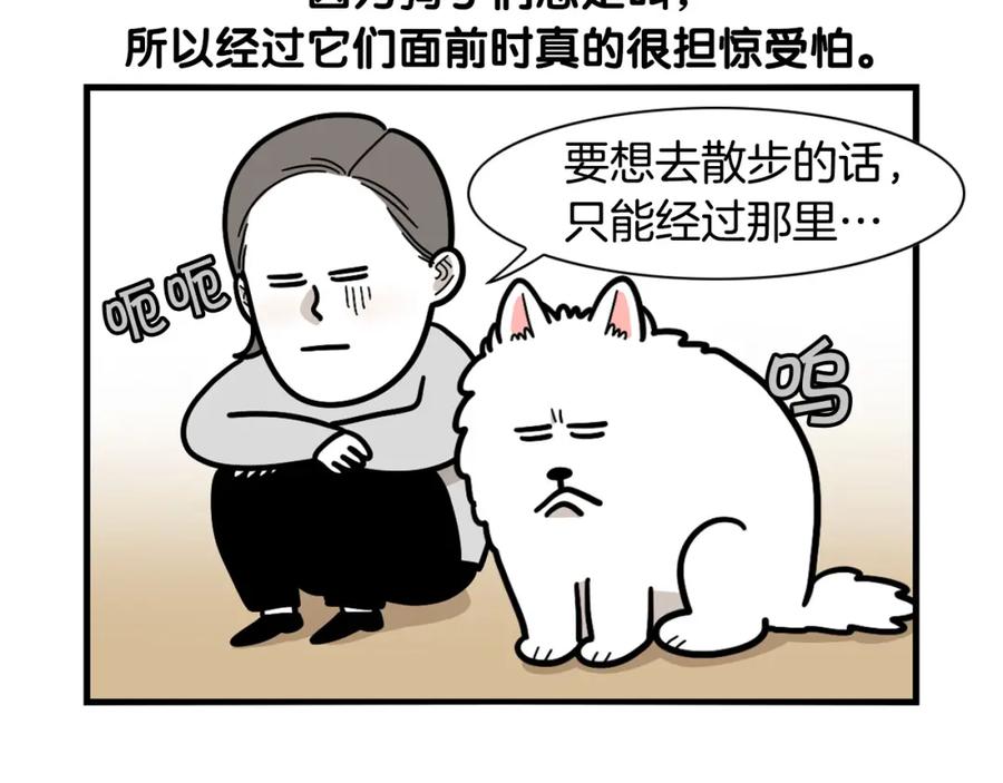 《我的狗子叫棉花》第36话 其他狗狗 第74页