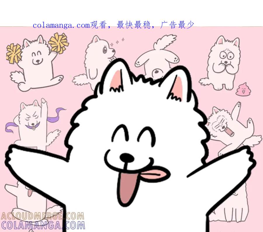 《我的狗子叫棉花》第36话 其他狗狗 第1页