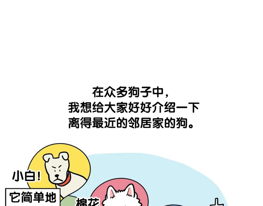《我的狗子叫棉花》第36话 其他狗狗 第9页