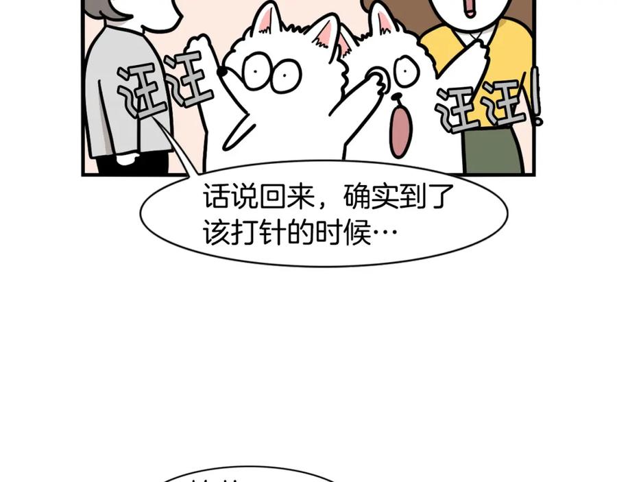 《我的狗子叫棉花》第36话 其他狗狗 第87页