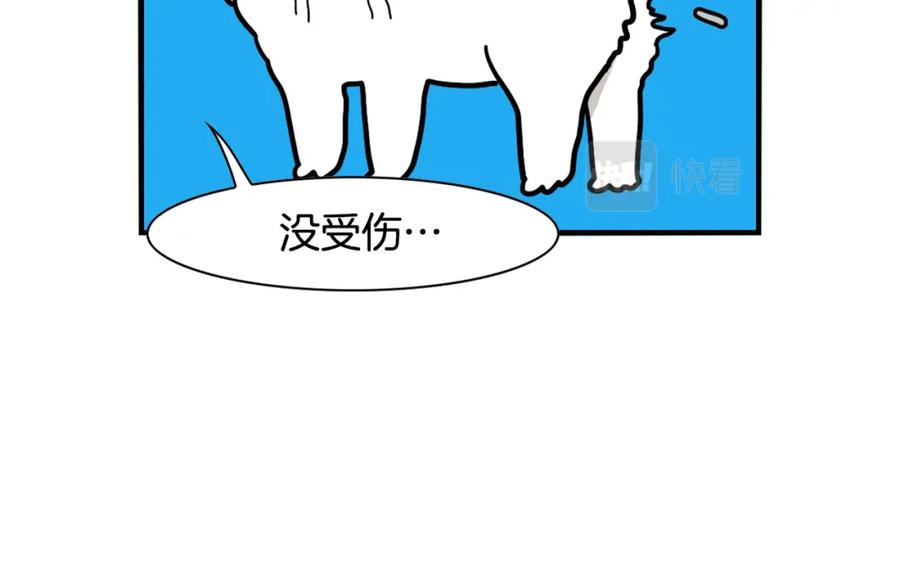 《我的狗子叫棉花》第36话 其他狗狗 第68页
