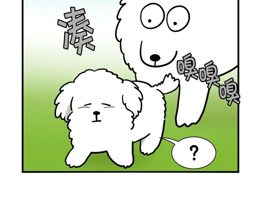 《我的狗子叫棉花》第36话 其他狗狗 第18页