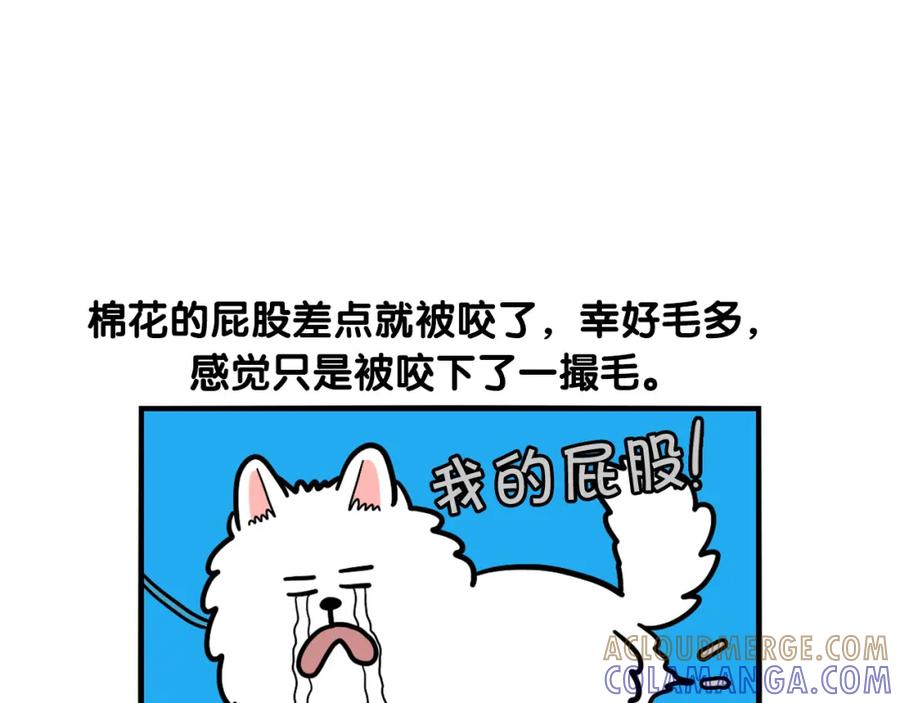 《我的狗子叫棉花》第36话 其他狗狗 第67页