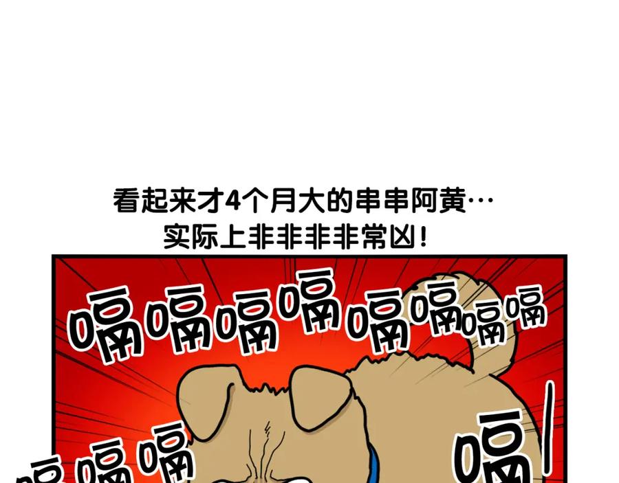 《我的狗子叫棉花》第36话 其他狗狗 第42页