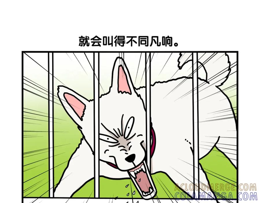 《我的狗子叫棉花》第36话 其他狗狗 第31页