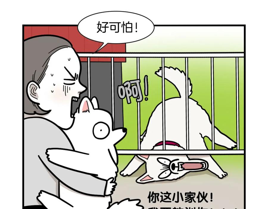 《我的狗子叫棉花》第36话 其他狗狗 第36页