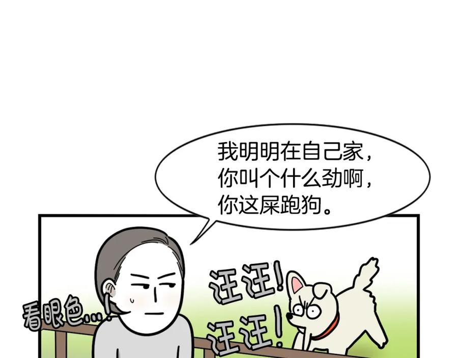 《我的狗子叫棉花》第36话 其他狗狗 第6页